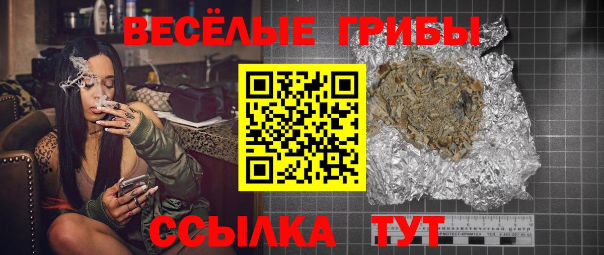 Псилоцибиновые грибы GOLDEN TEACHER Пугачёв